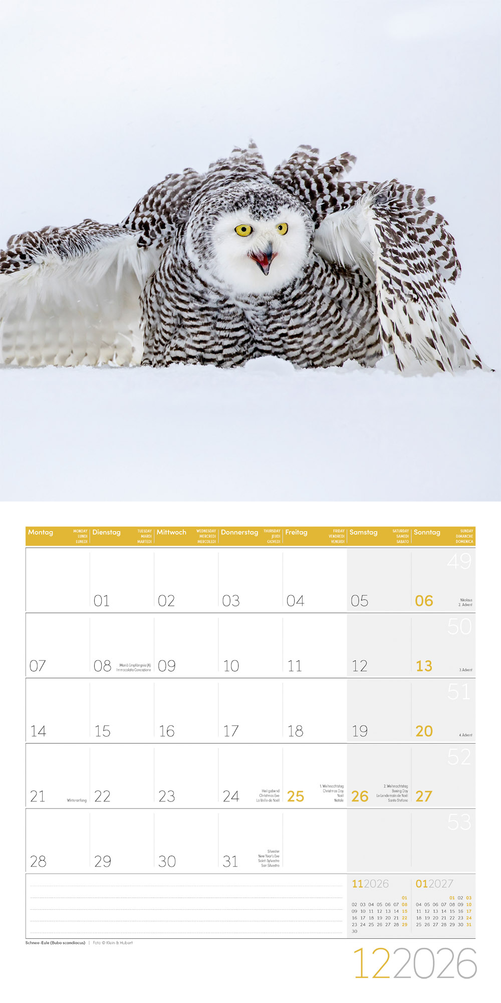 9783838446240_innenansicht_12 9783838446240_innenansicht_12.jpg