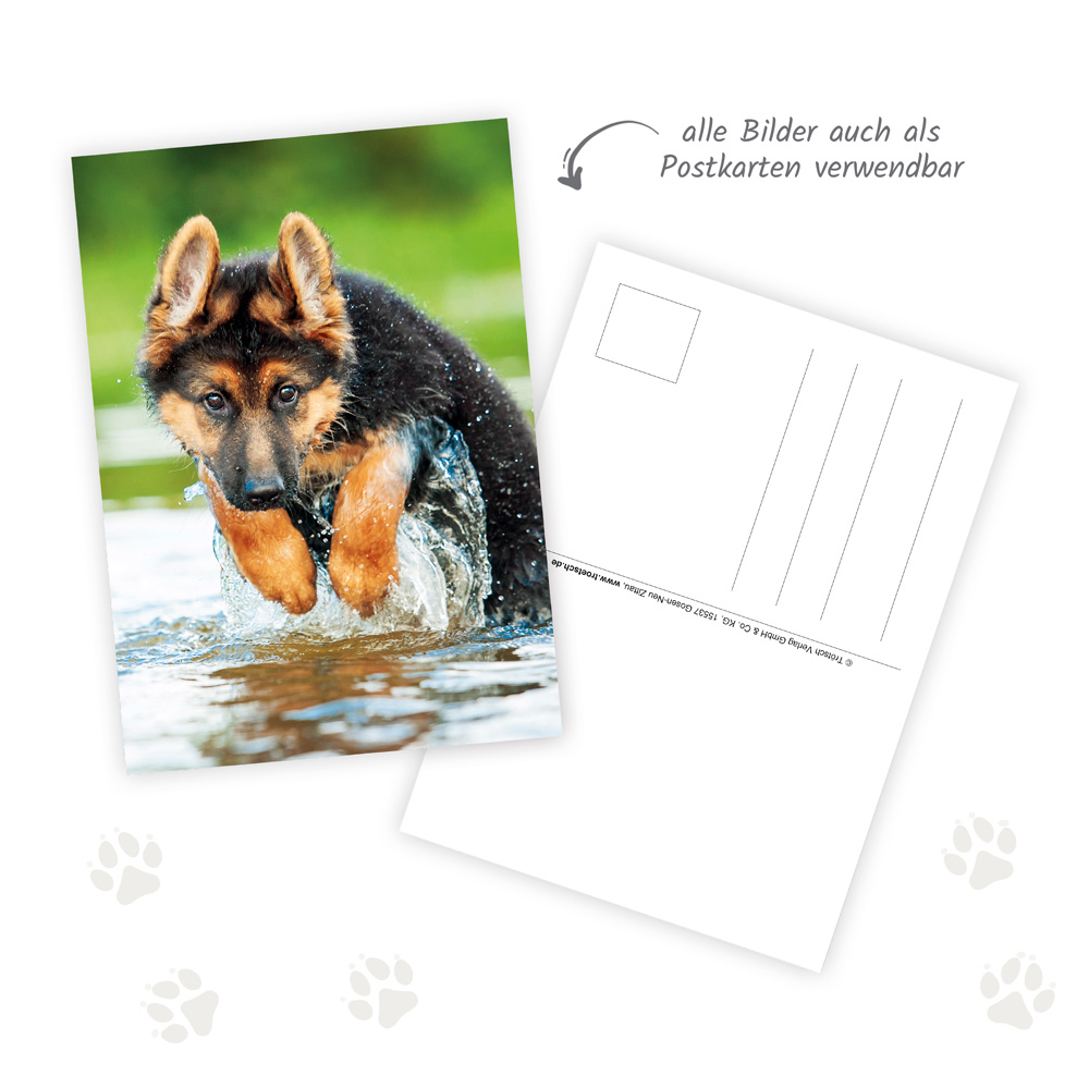 9783988024299_innenansicht_03 9783988024299_innenansicht_03.jpg