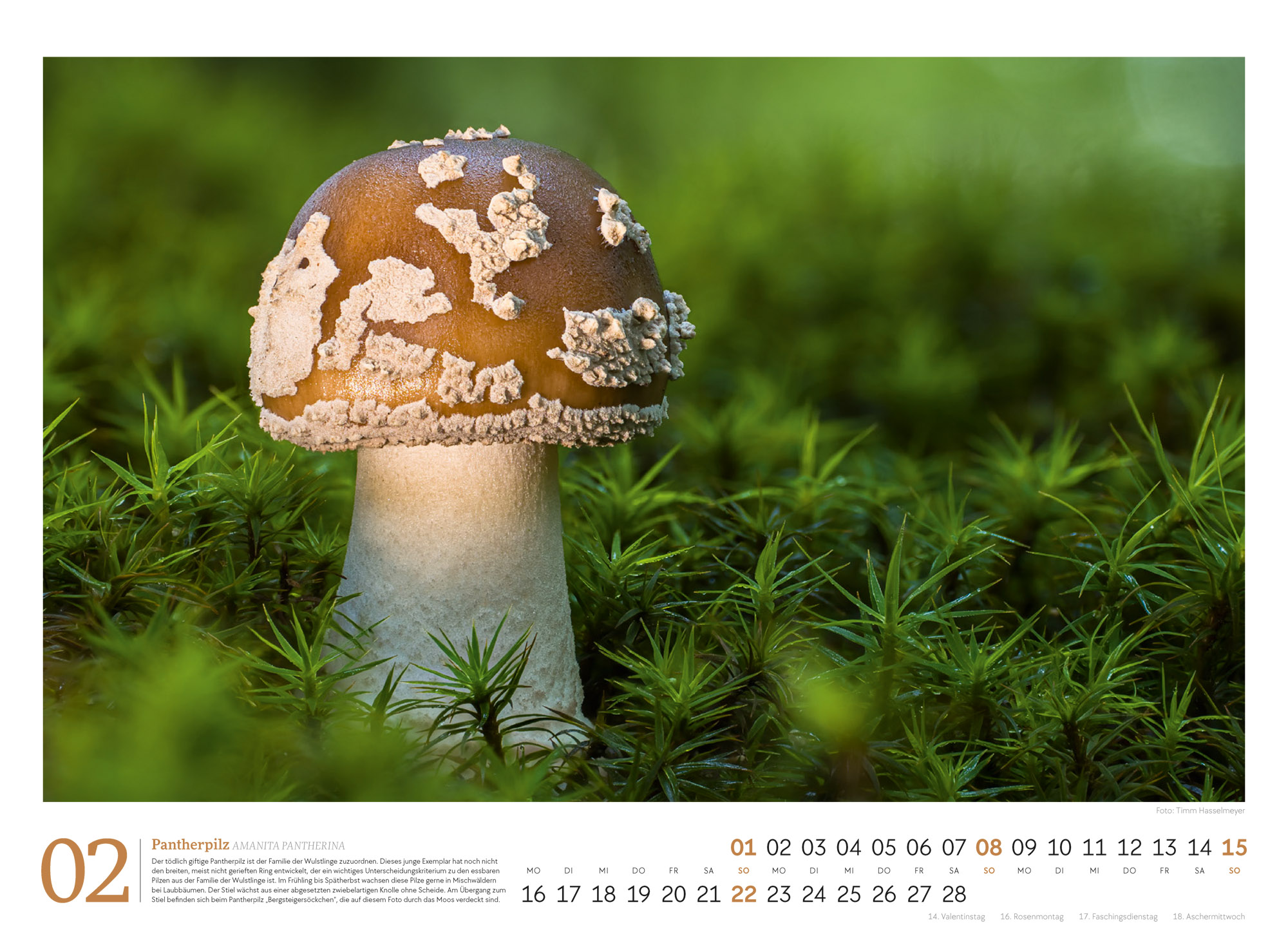 9783838436333_innenansicht_02 9783838436333_innenansicht_02.jpg