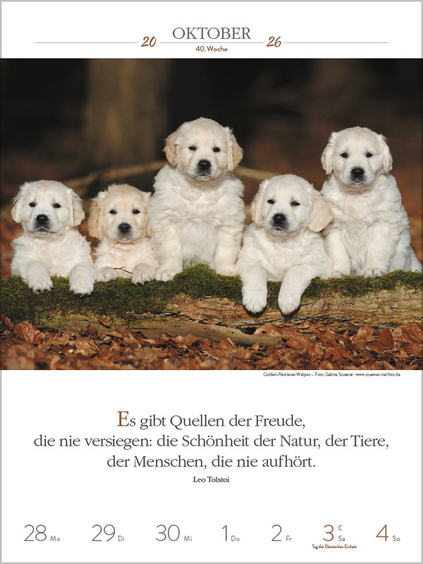 9783731884392_innenansicht_09.jpg