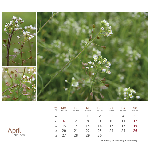 9783861925163_innenansicht_04 9783861925163_innenansicht_04.jpg