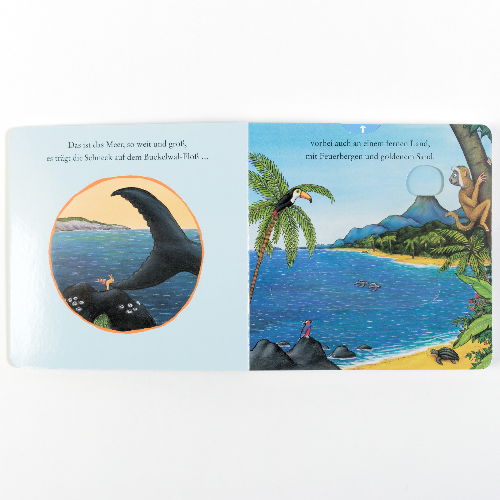 9783407757142_innenansicht_01 9783407757142_innenansicht_01.jpg