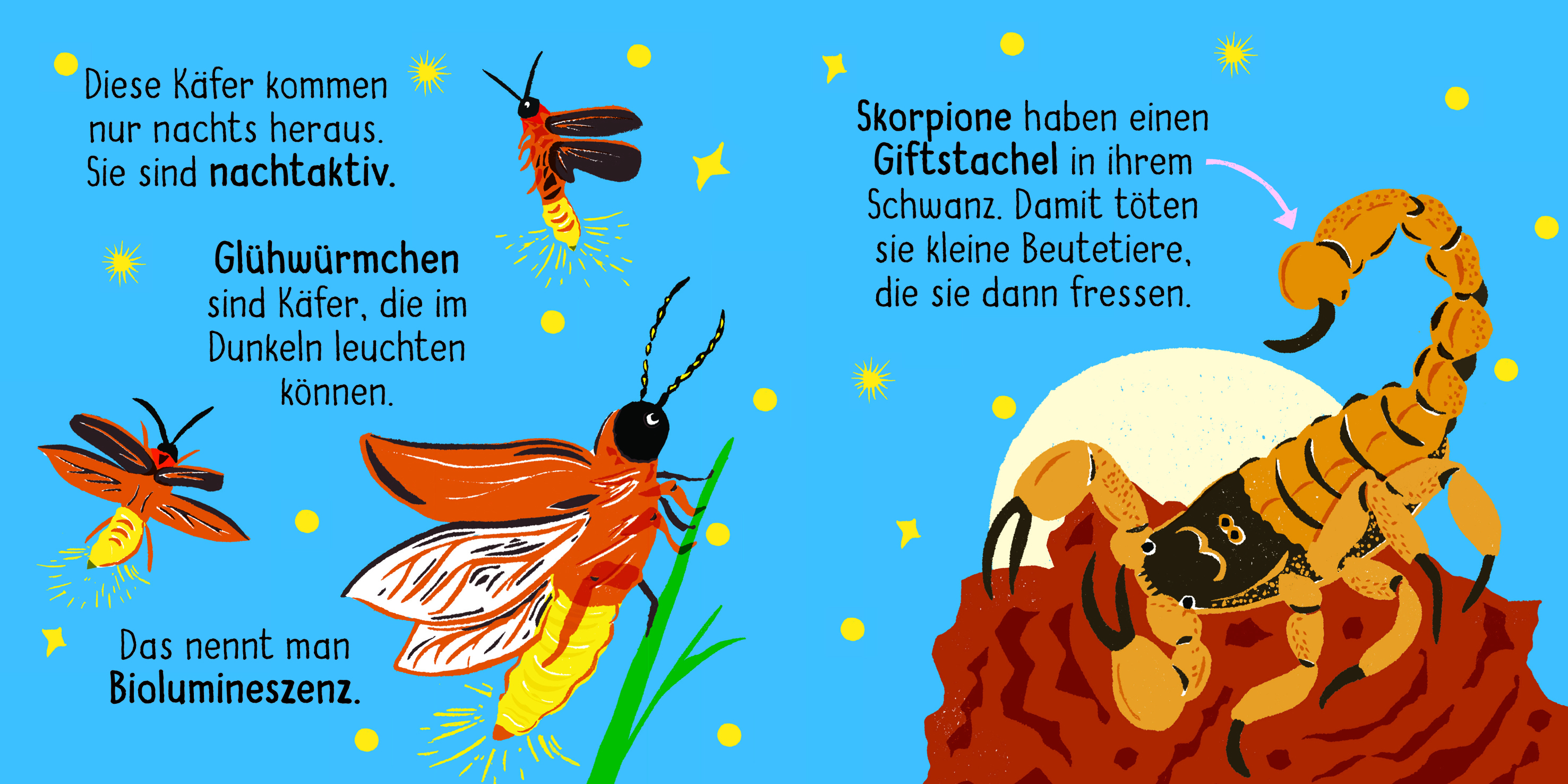 9783411722280_innenansicht_04.jpg