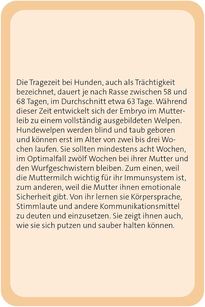 9783964553607_innenansicht_08.jpg