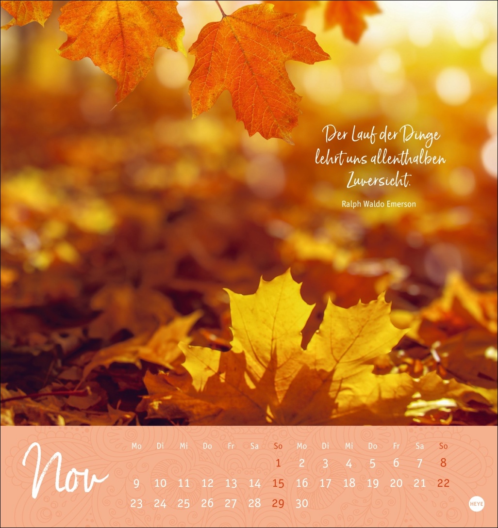9783756412341_innenansicht_11 9783756412341_innenansicht_11.jpg
