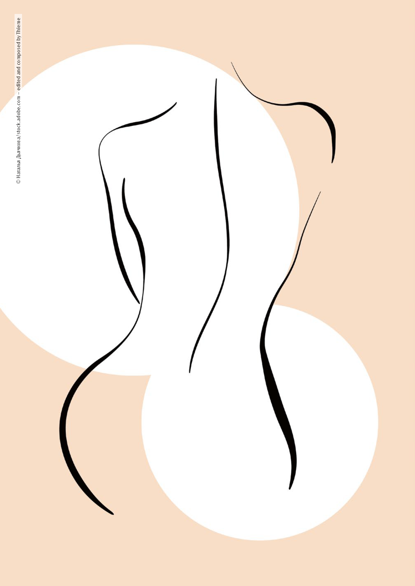 9783432118932_innenansicht_05.png