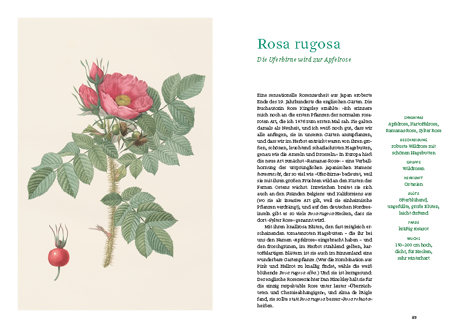 9783832169268_innenansicht_06 9783832169268_innenansicht_06.jpg