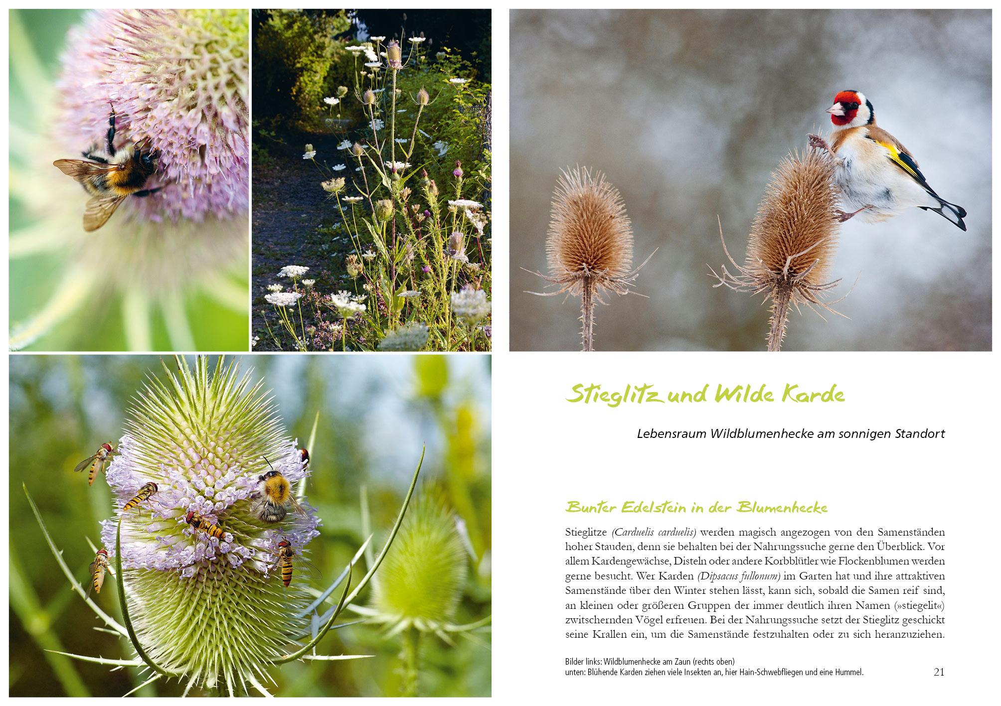 9783895663888_innenansicht_02 9783895663888_innenansicht_02.jpg