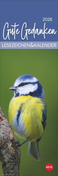 9783756411795 9783756411795