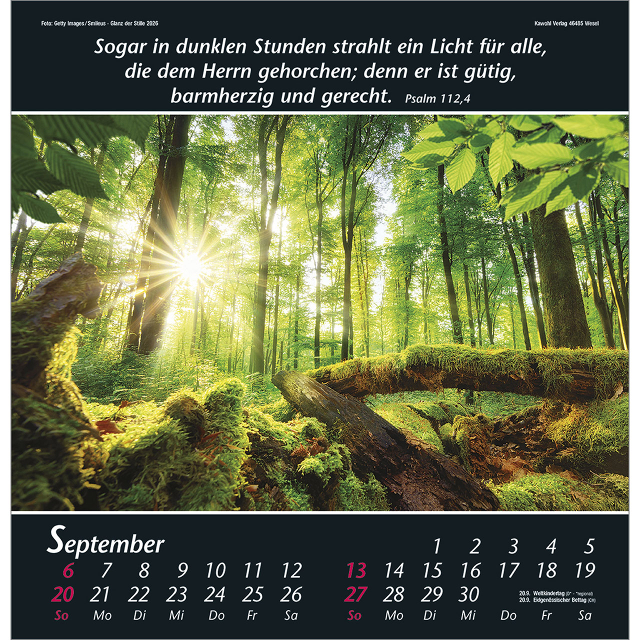 9783754820063_innenansicht_09.jpg