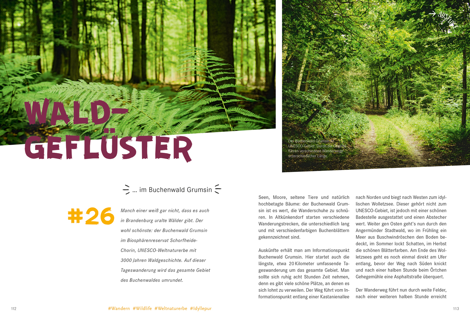 9783770180806_innenansicht_08 9783770180806_innenansicht_08.jpg