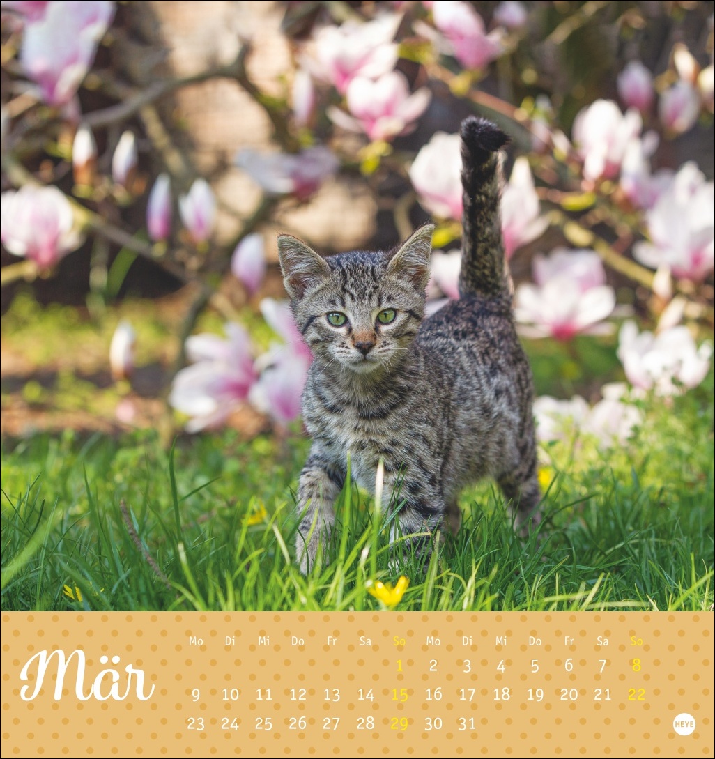 9783756410460_innenansicht_03 9783756410460_innenansicht_03.jpg