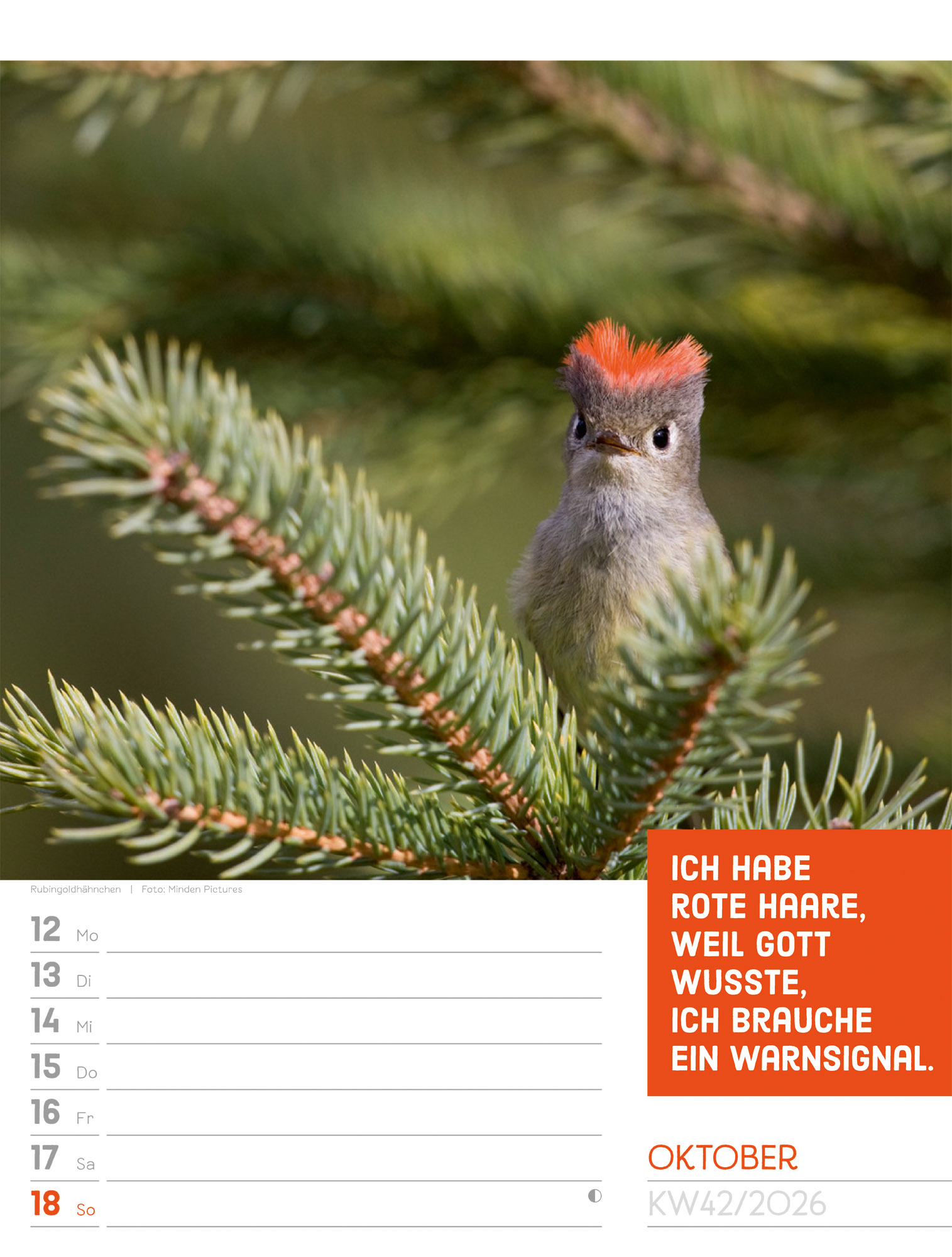 9783838426969_innenansicht_45 9783838426969_innenansicht_45.jpg