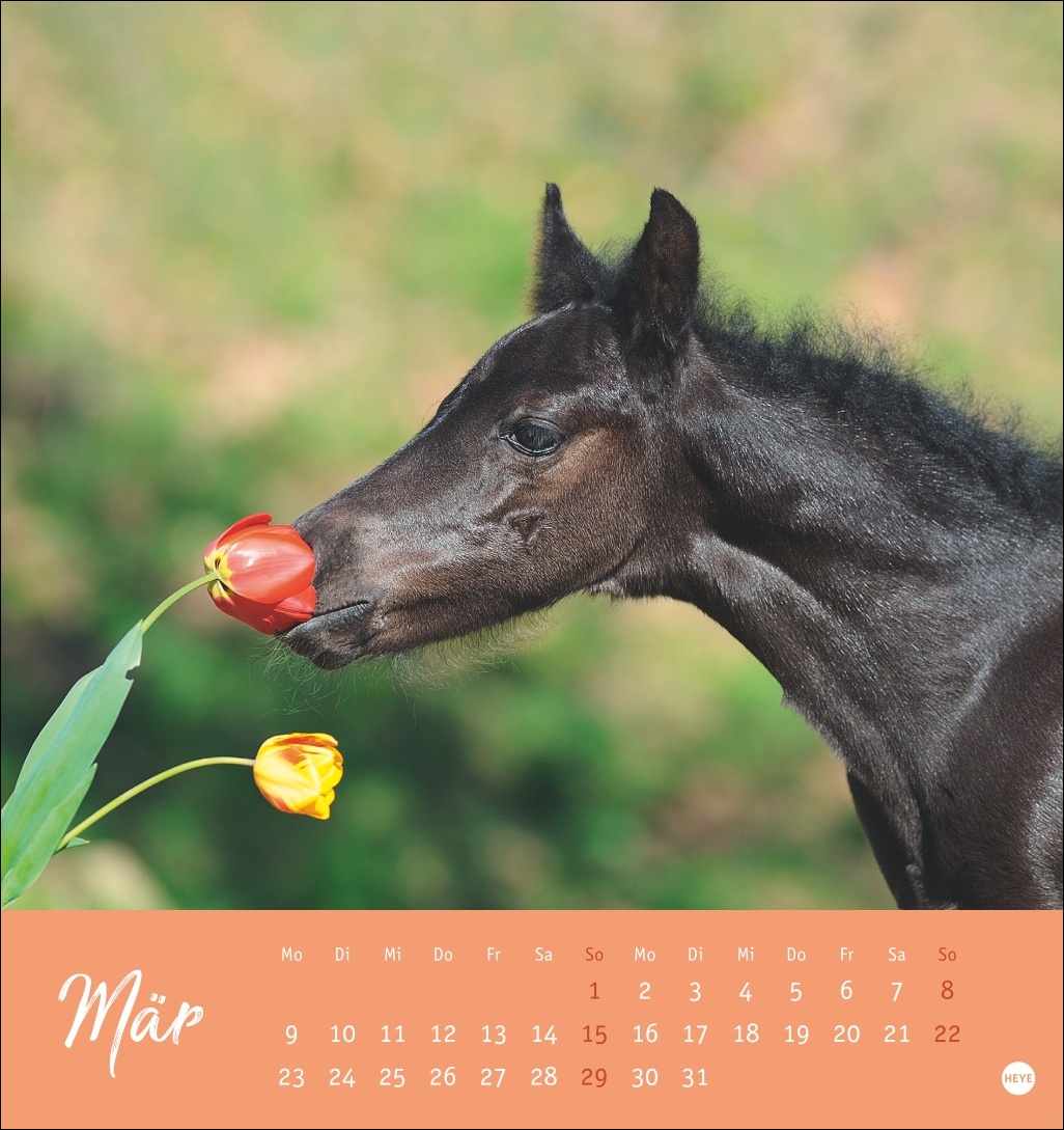 9783756410477_innenansicht_03 9783756410477_innenansicht_03.jpg