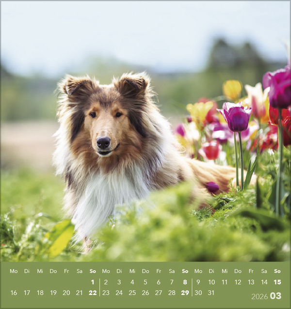 9783731884064_innenansicht_03 9783731884064_innenansicht_03.jpg