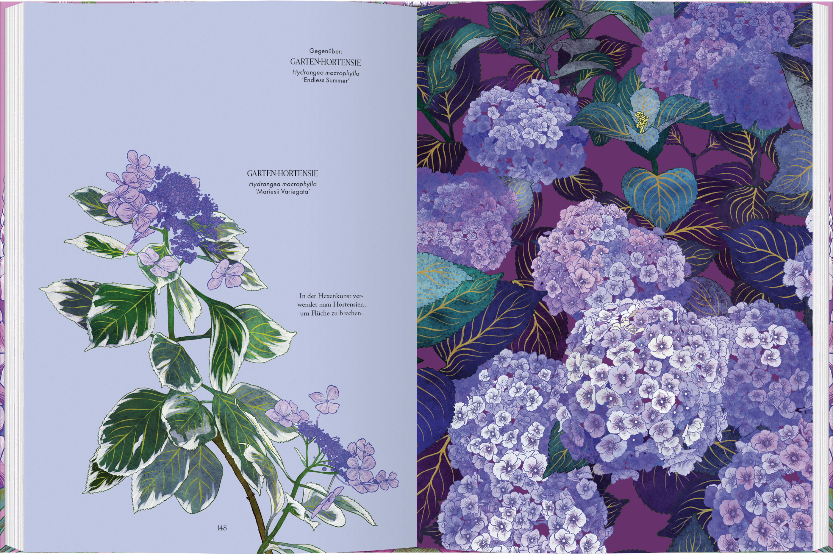 9783836922081_innenansicht_03 9783836922081_innenansicht_03.jpg