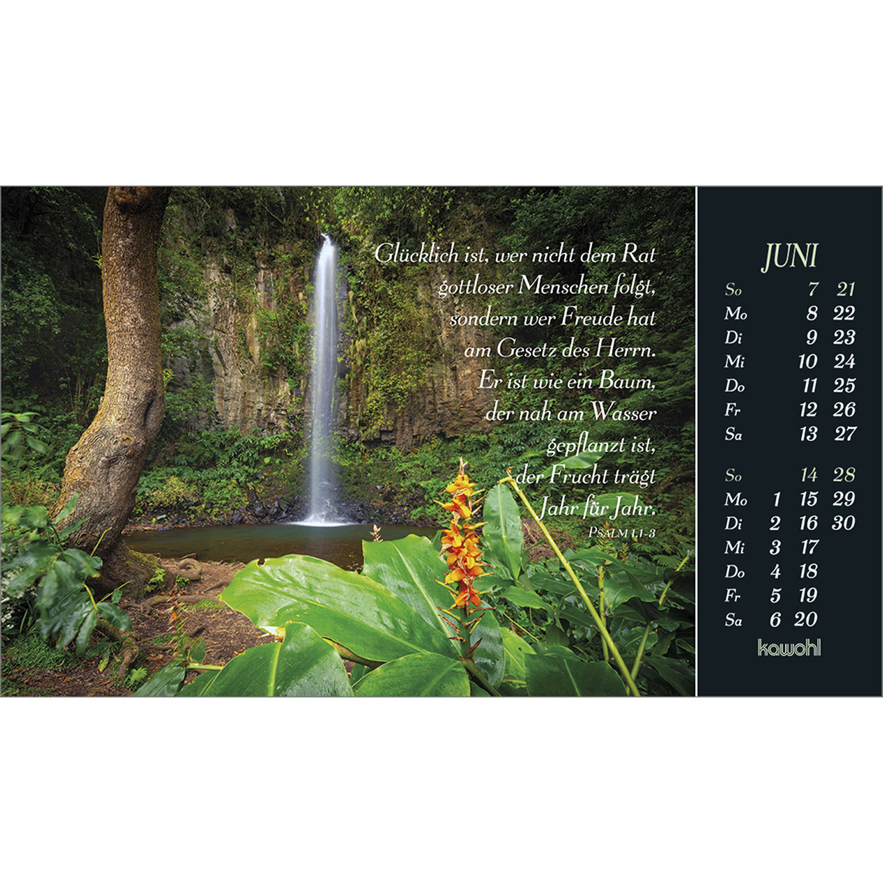 9783754817865_innenansicht_06 9783754817865_innenansicht_06.jpg