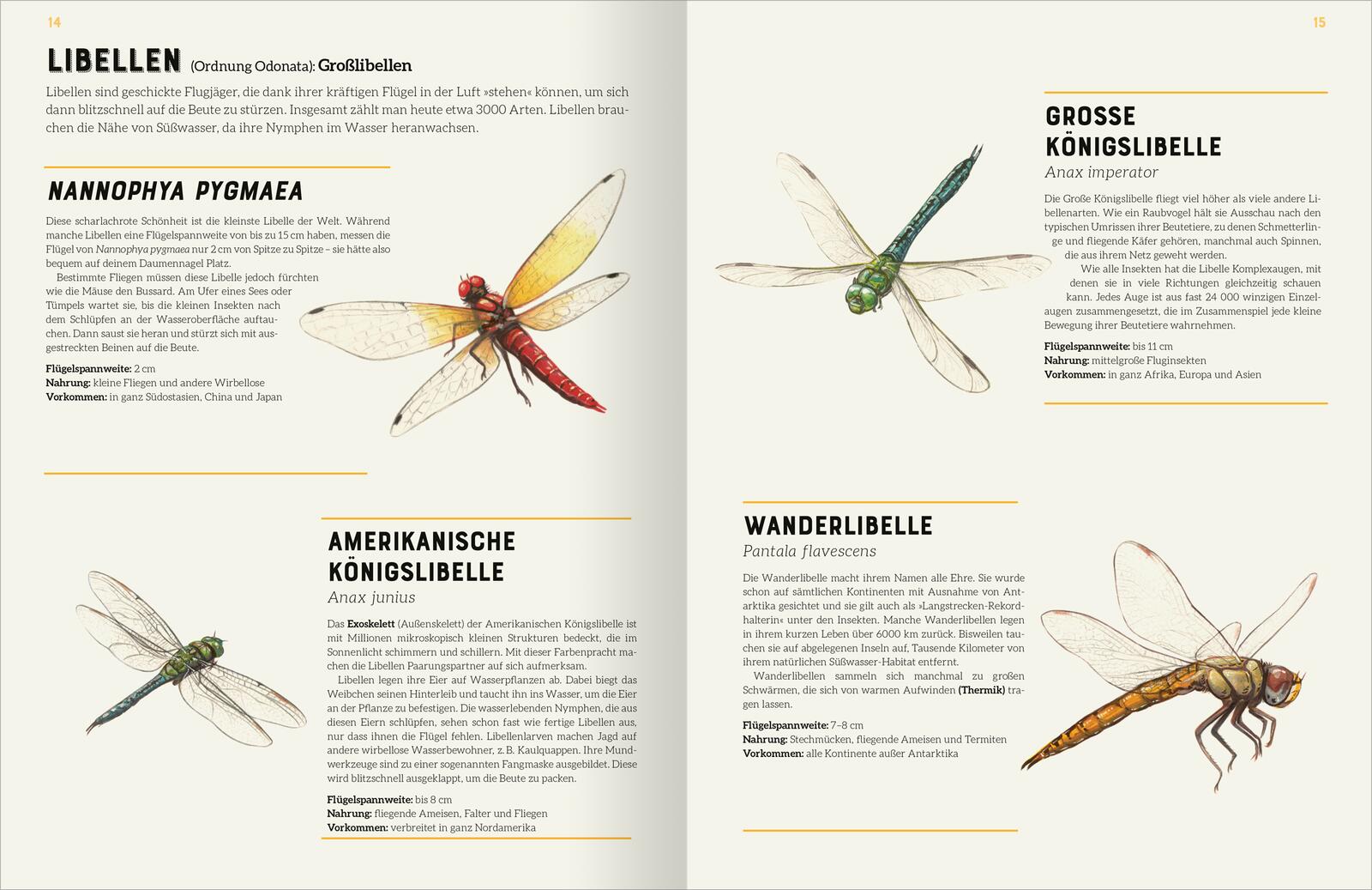 9783845857534_innenansicht_01 9783845857534_innenansicht_01.jpg