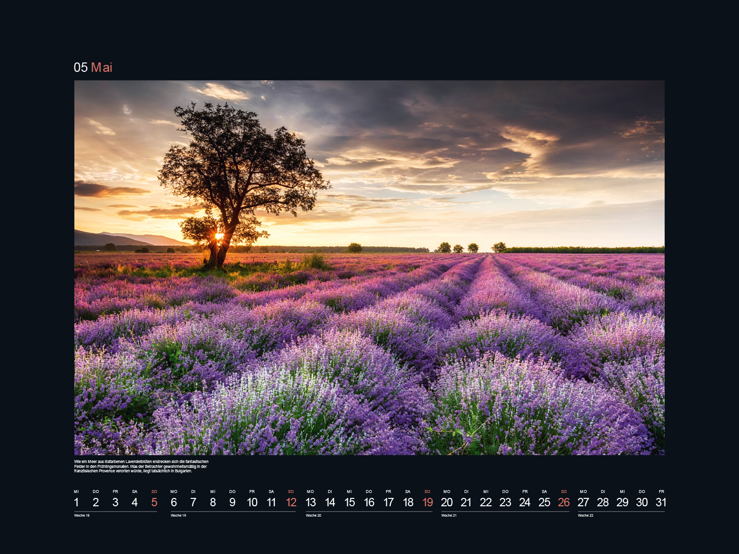 9783965912465_innenansicht_06 9783965912465_innenansicht_06.jpg