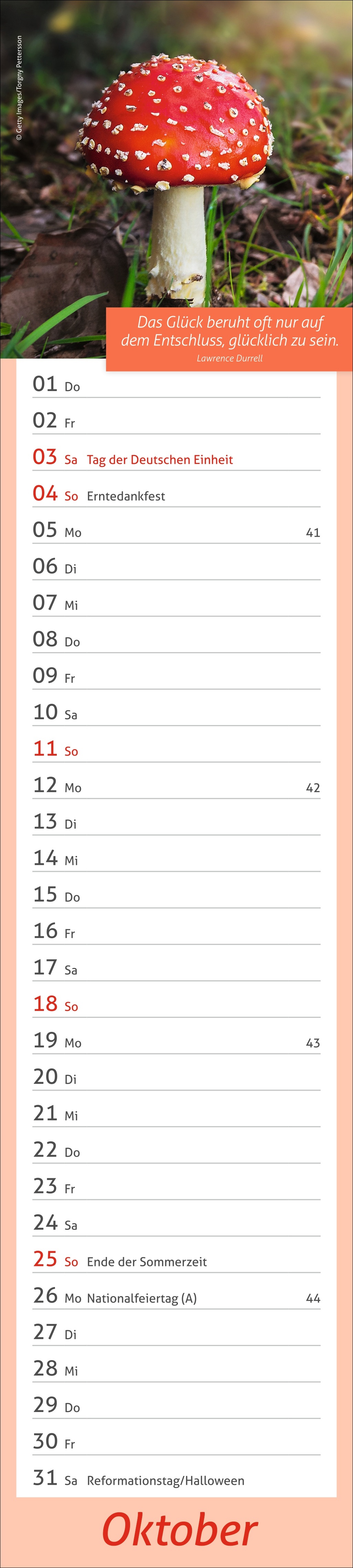 9783756412945_innenansicht_10.jpg