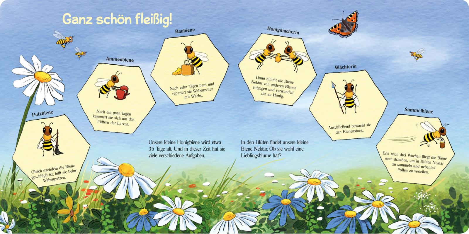 9783551172778_innenansicht_01 9783551172778_innenansicht_01.jpg