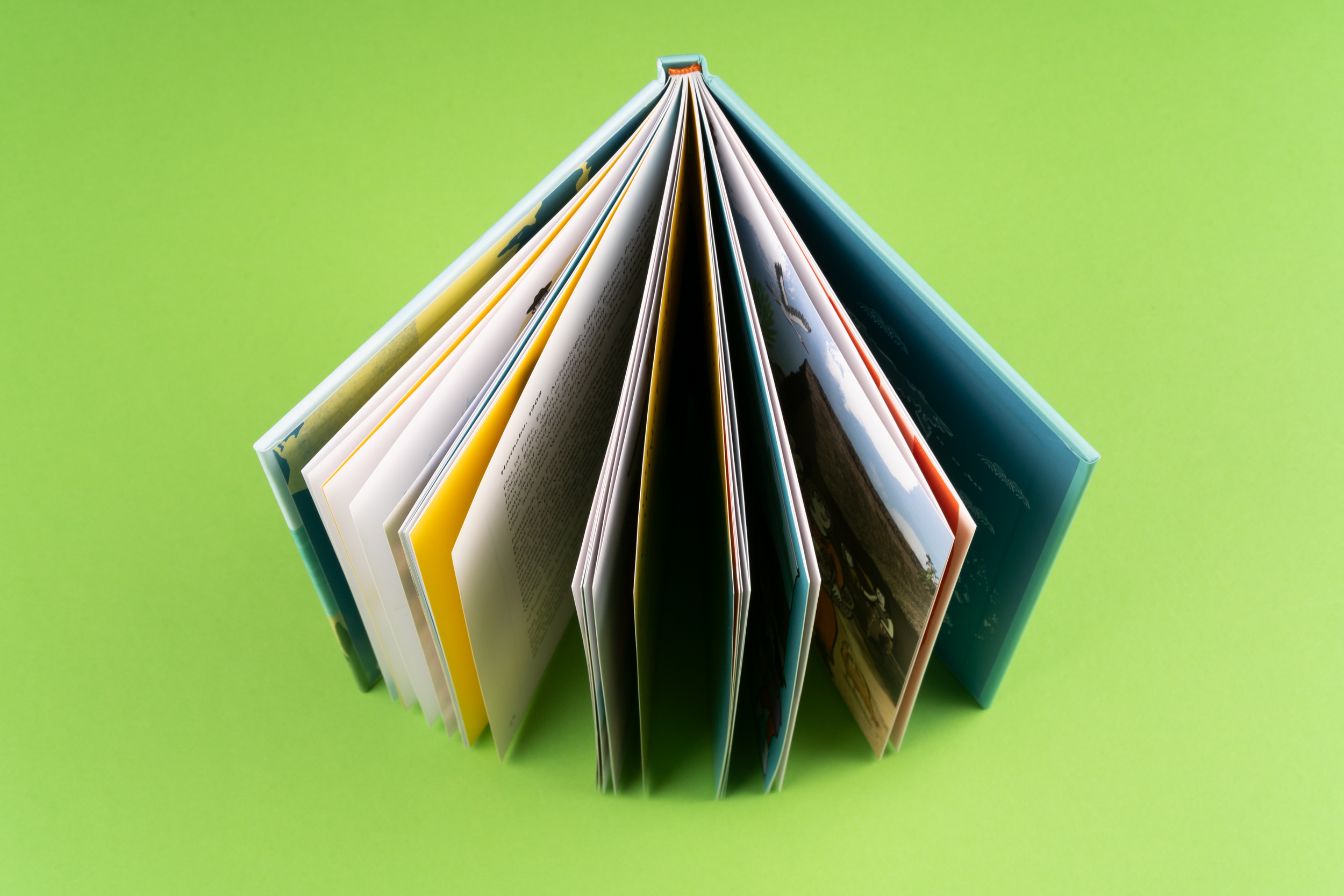 9783865024664_innenansicht_11 9783865024664_innenansicht_11.jpg