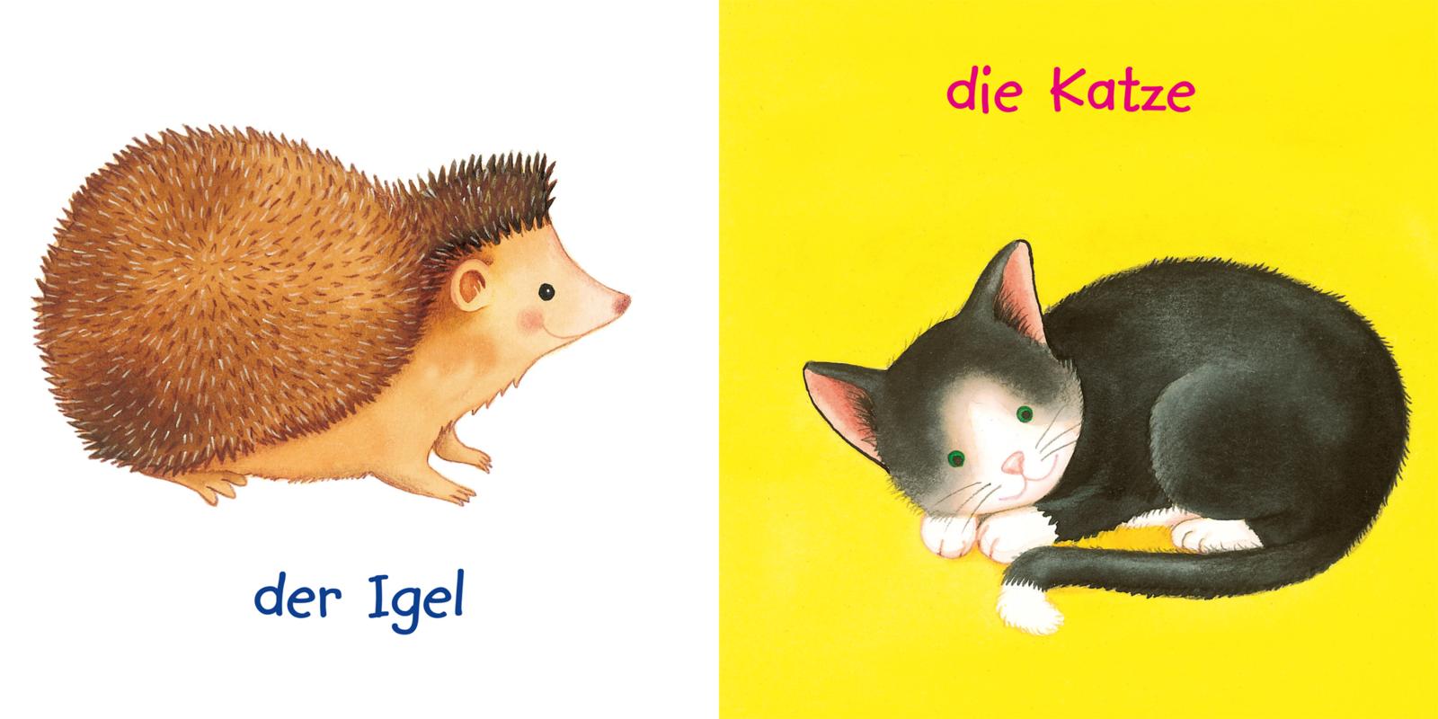 9783551051462_innenansicht_02 9783551051462_innenansicht_02.jpg