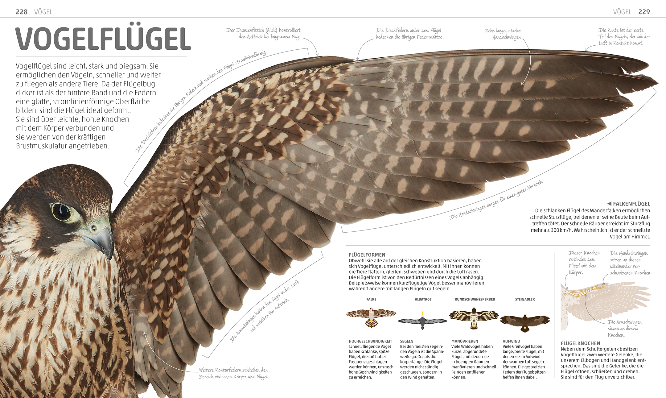 9783831035557_innenansicht_07 9783831035557_innenansicht_07.jpg