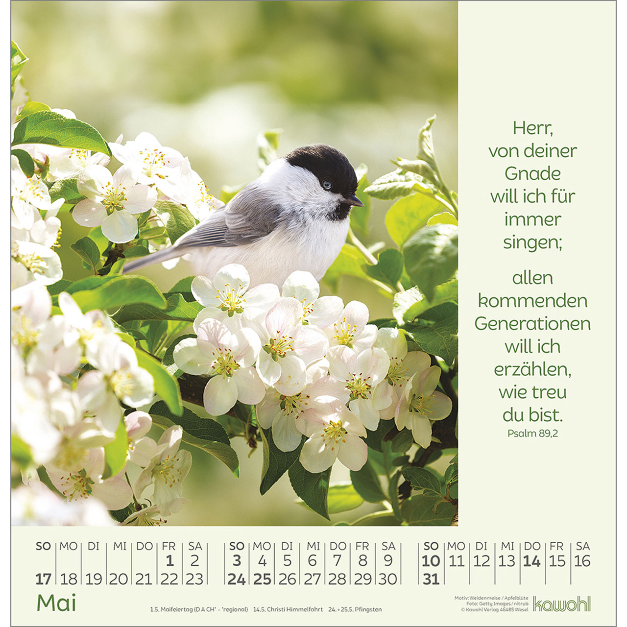 9783754826065_innenansicht_05.jpg