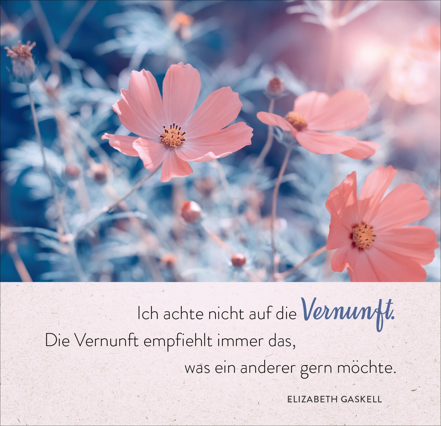 9783845860053_innenansicht_04.jpg
