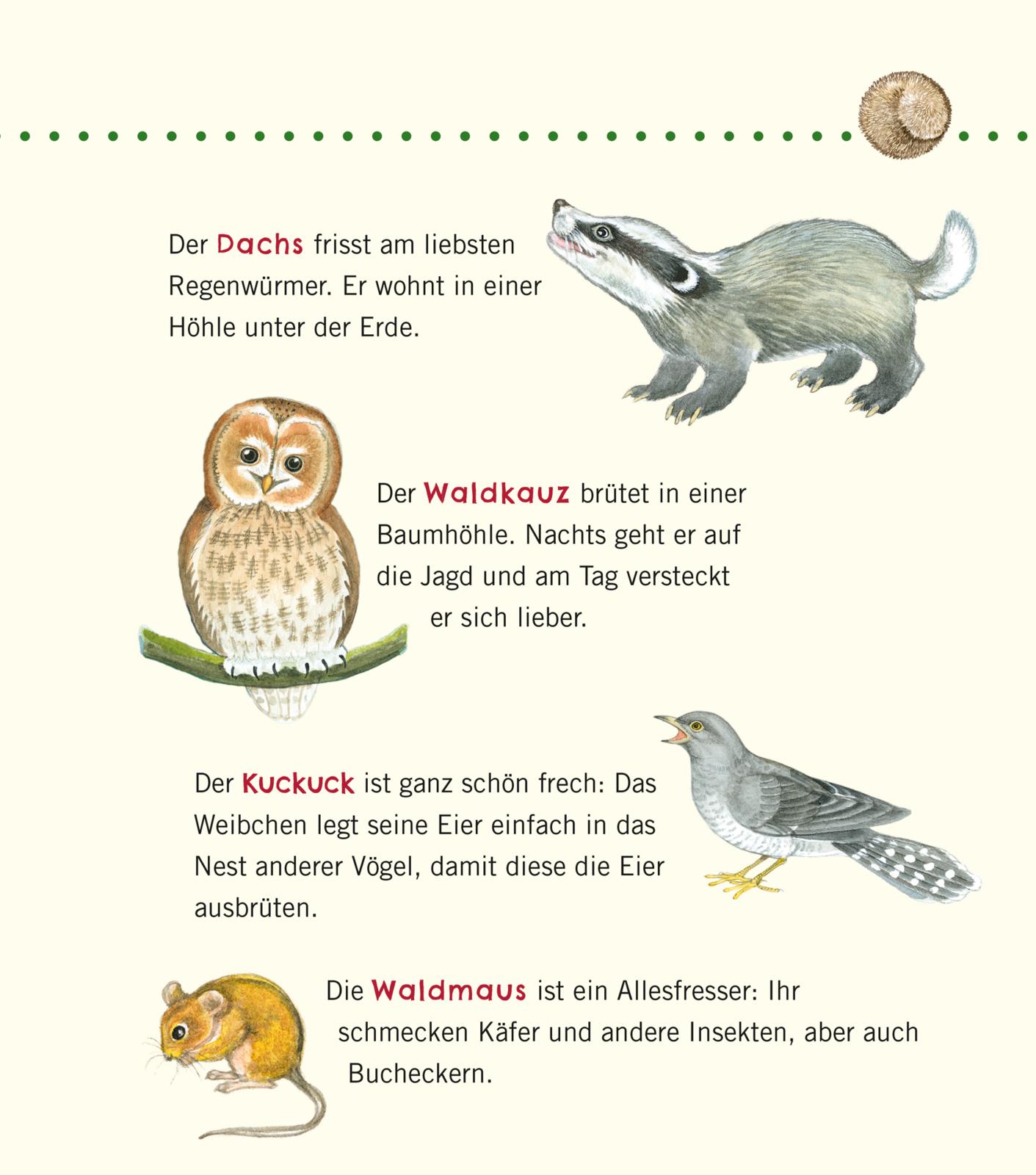 9783551036087_innenansicht_08.jpg