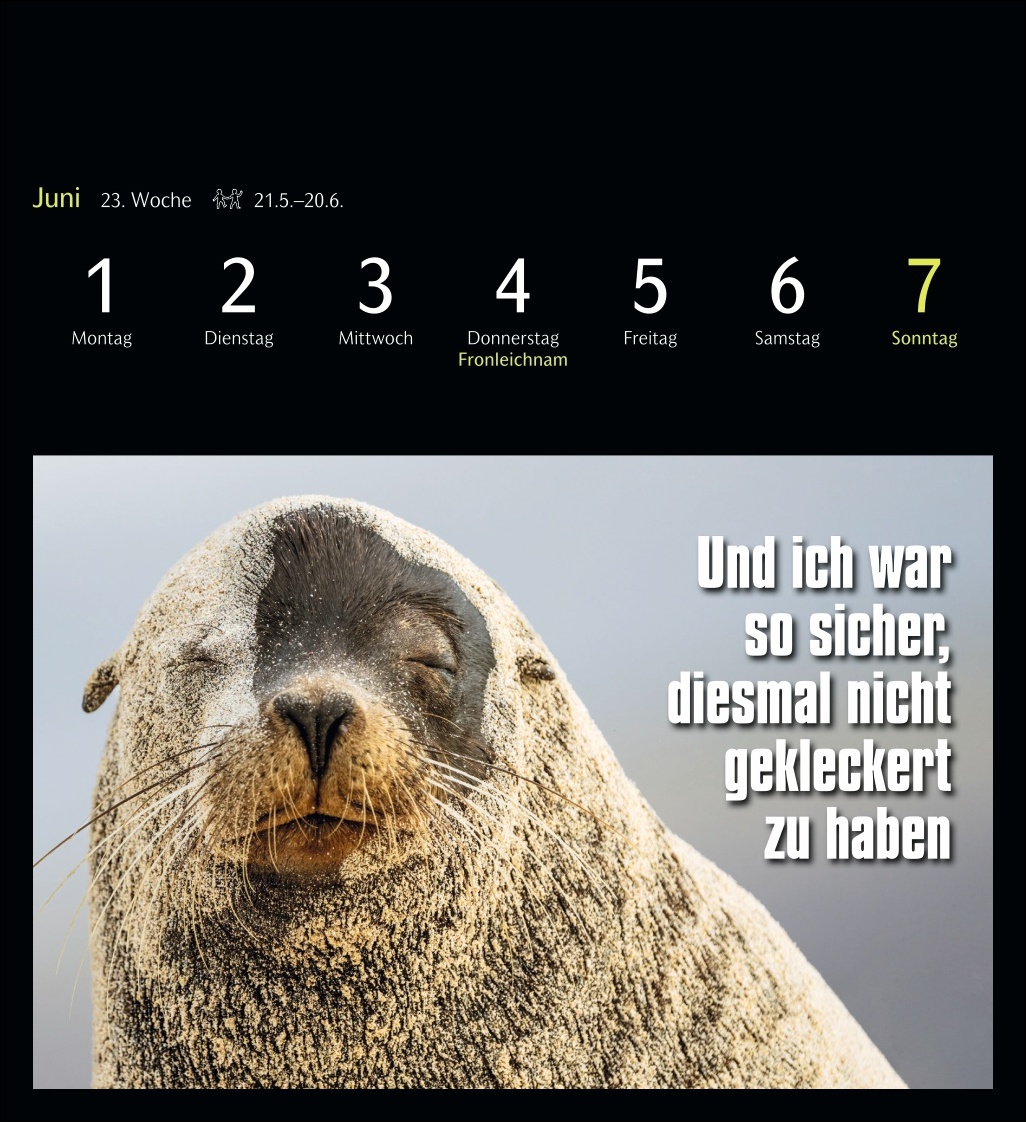 9783840037467_innenansicht_04.jpg