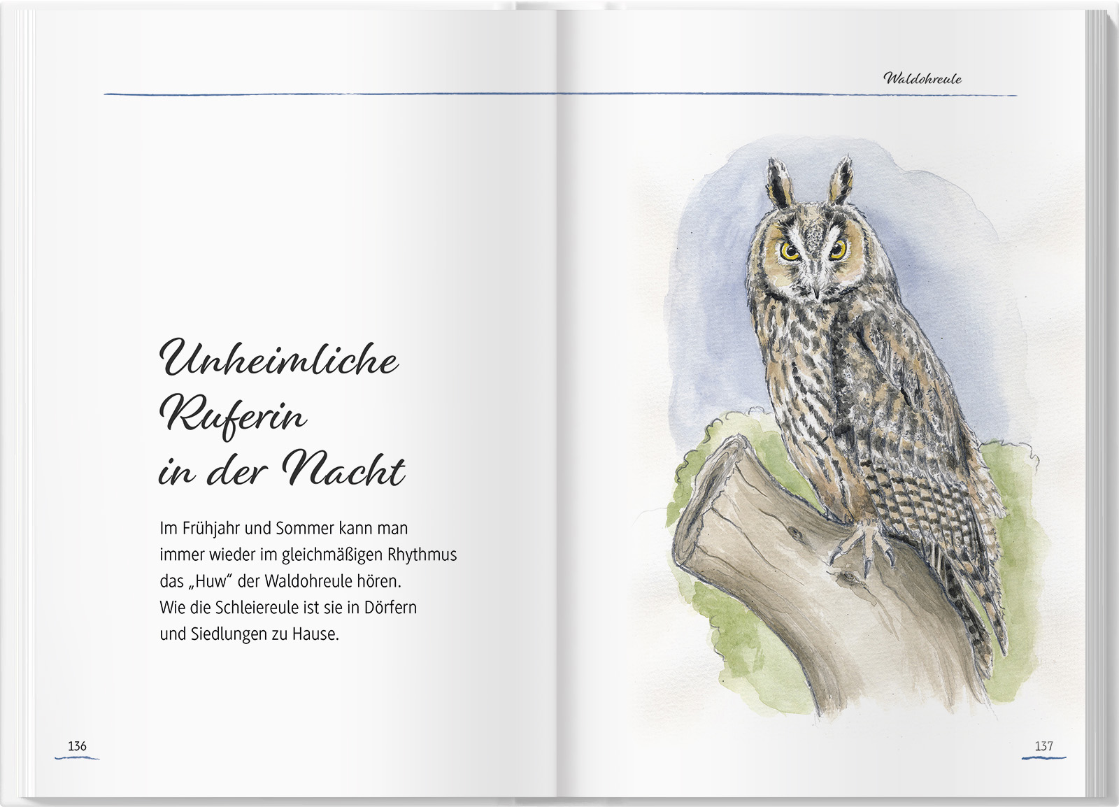 9783784357348_innenansicht_10 9783784357348_innenansicht_10.jpg