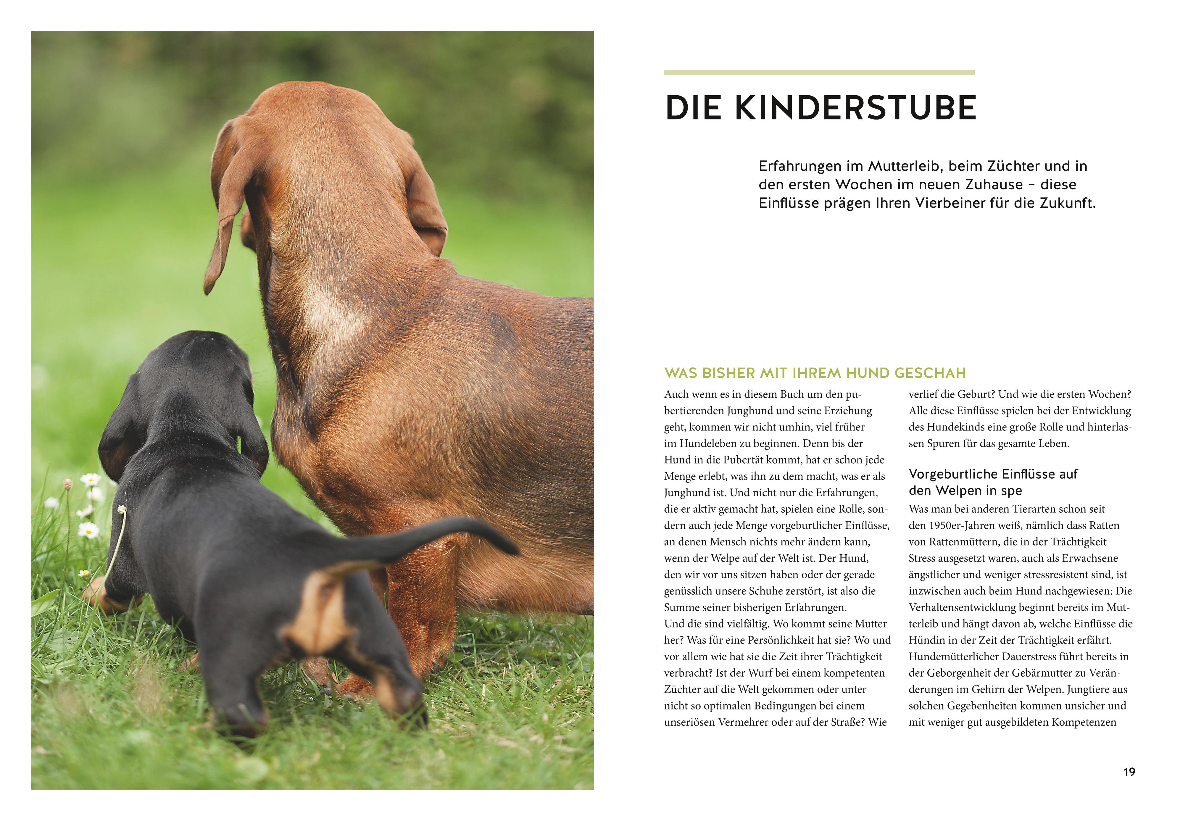9783833866463_innenansicht_03.jpg