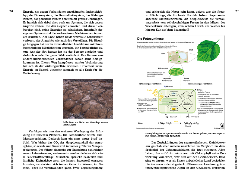 9783710900877_innenansicht_02 9783710900877_innenansicht_02.jpg