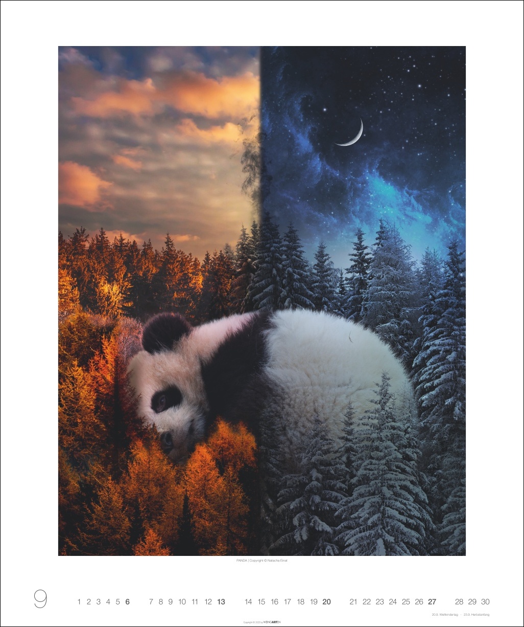 9783839902790_innenansicht_09 9783839902790_innenansicht_09.jpg