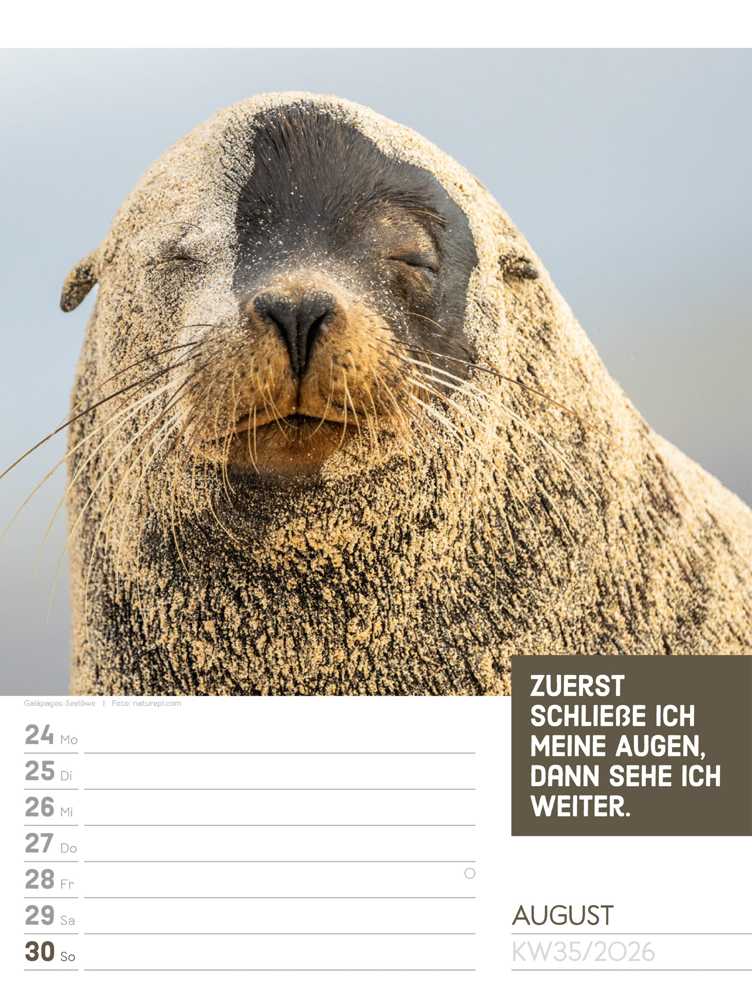 9783838426969_innenansicht_38.jpg