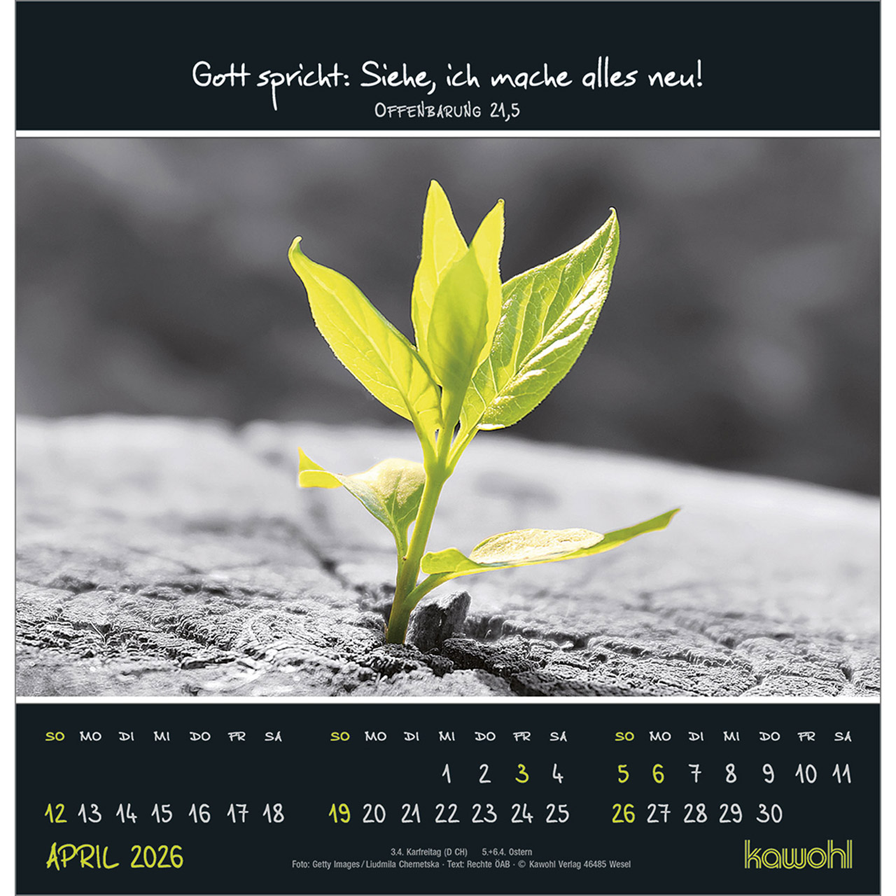 9783754825266_innenansicht_04.jpg