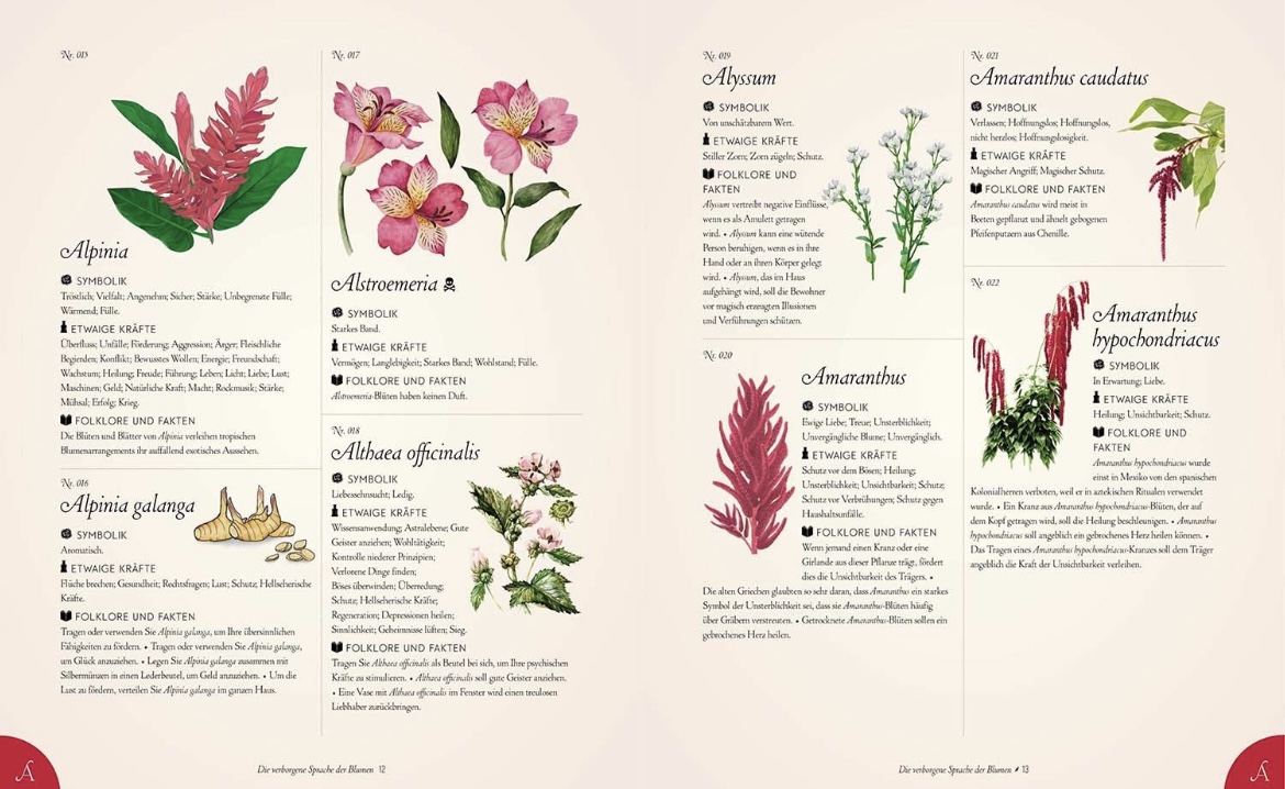 9789464990782_innenansicht_01 9789464990782_innenansicht_01.jpg