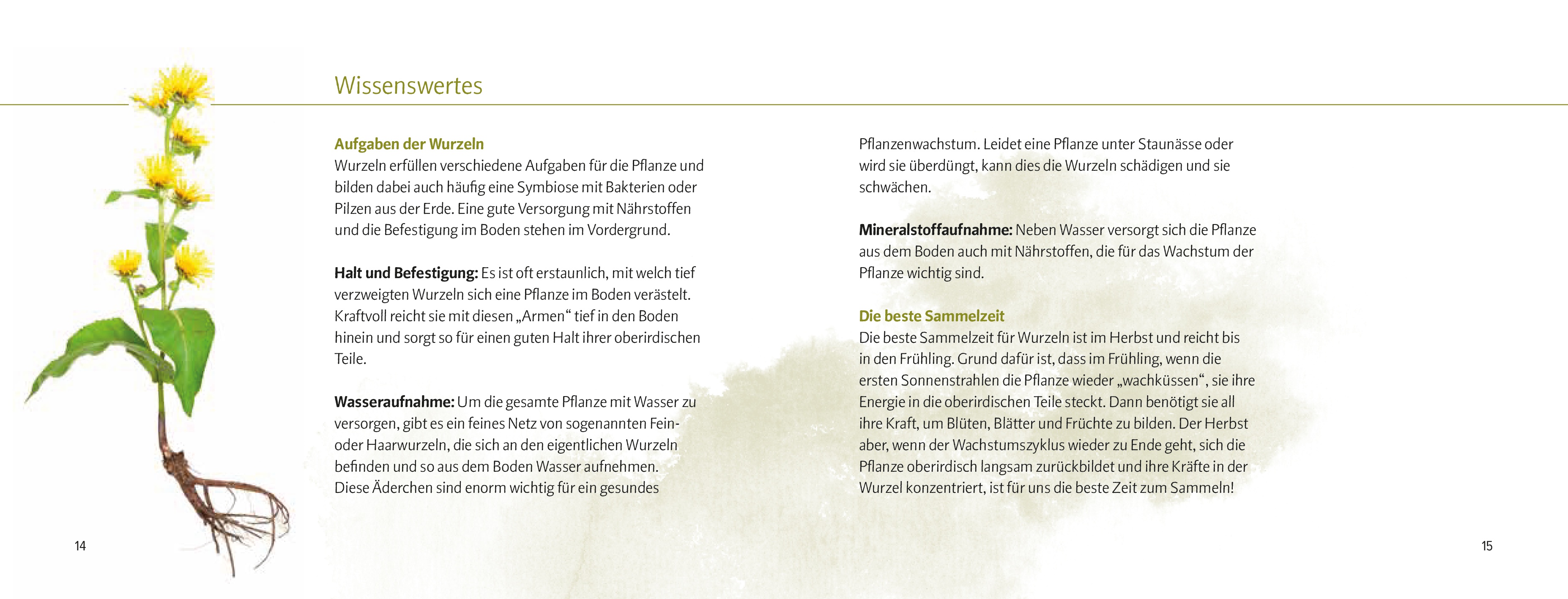 9783702511296_innenansicht_06 9783702511296_innenansicht_06.jpg