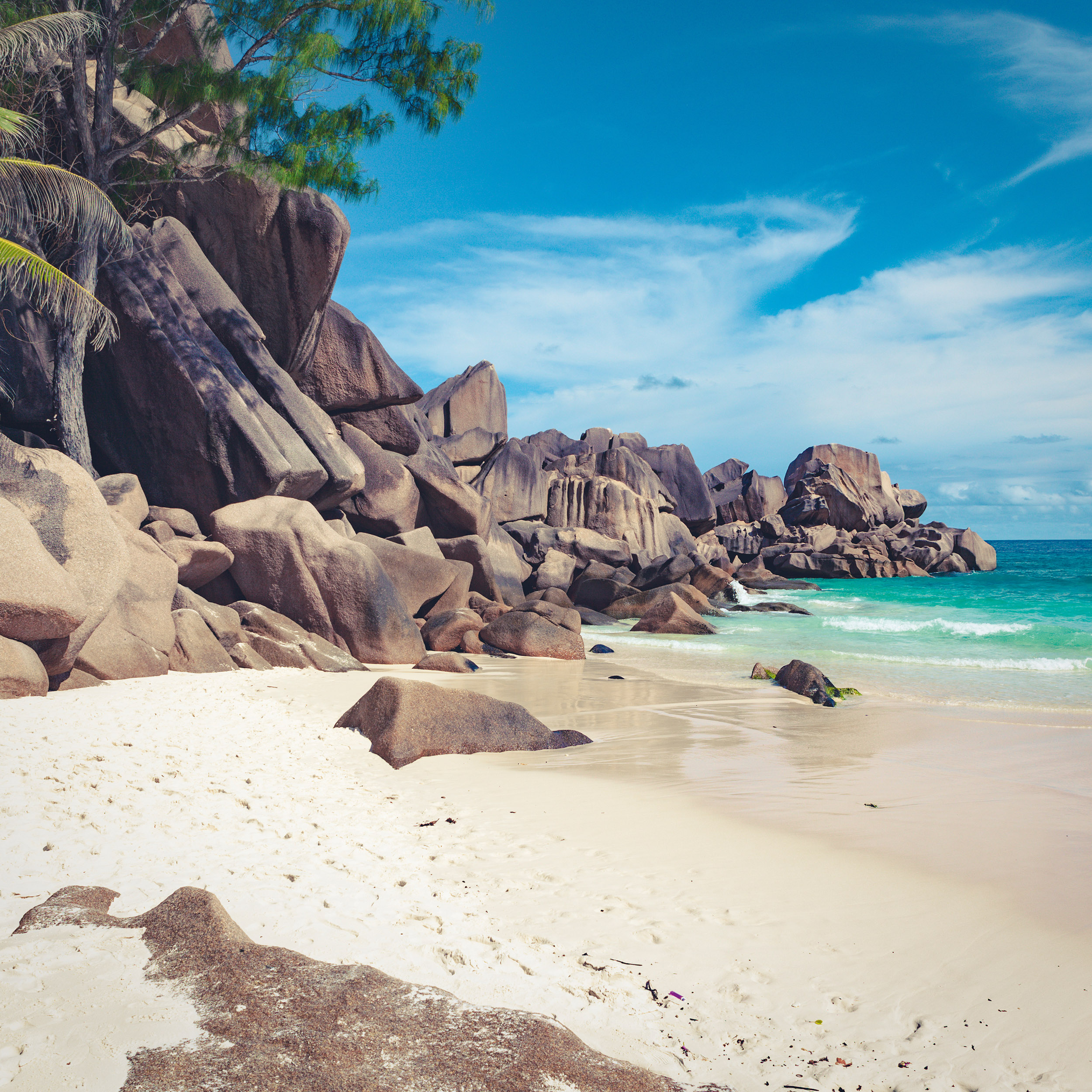 9783959295819_innenansicht_09 9783959295819_innenansicht_09.jpg