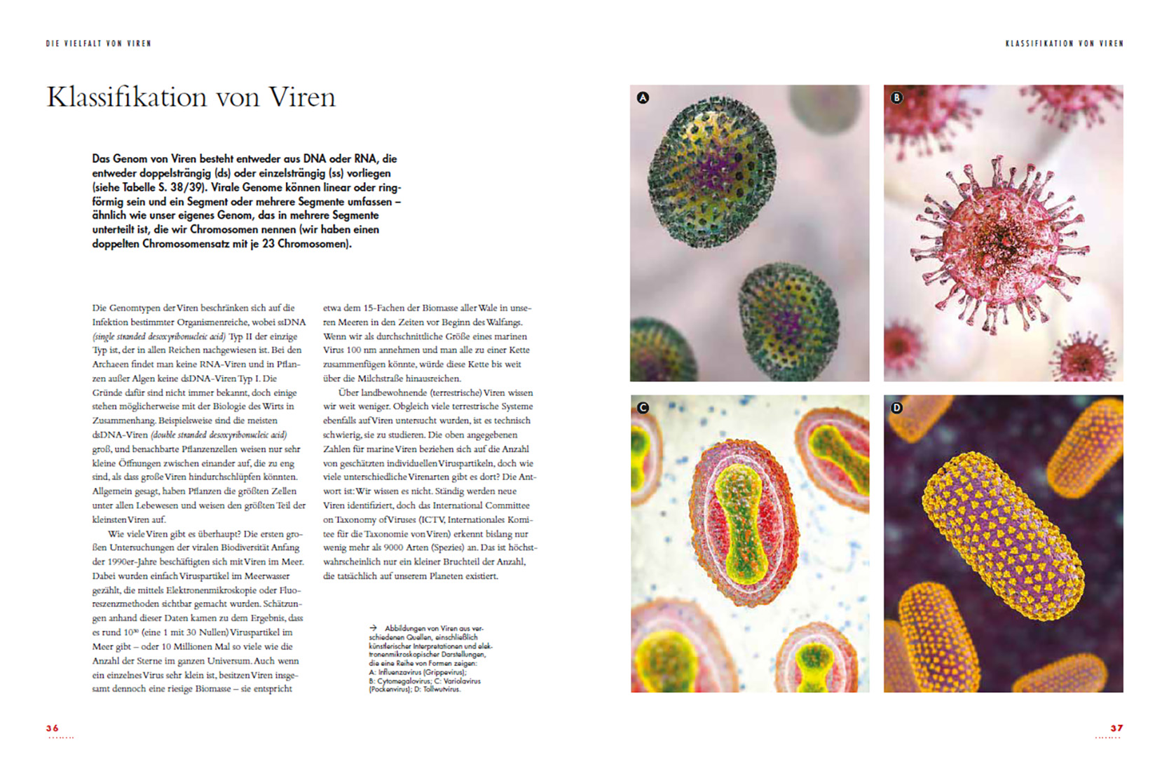 9783258084077_innenansicht_02.jpg
