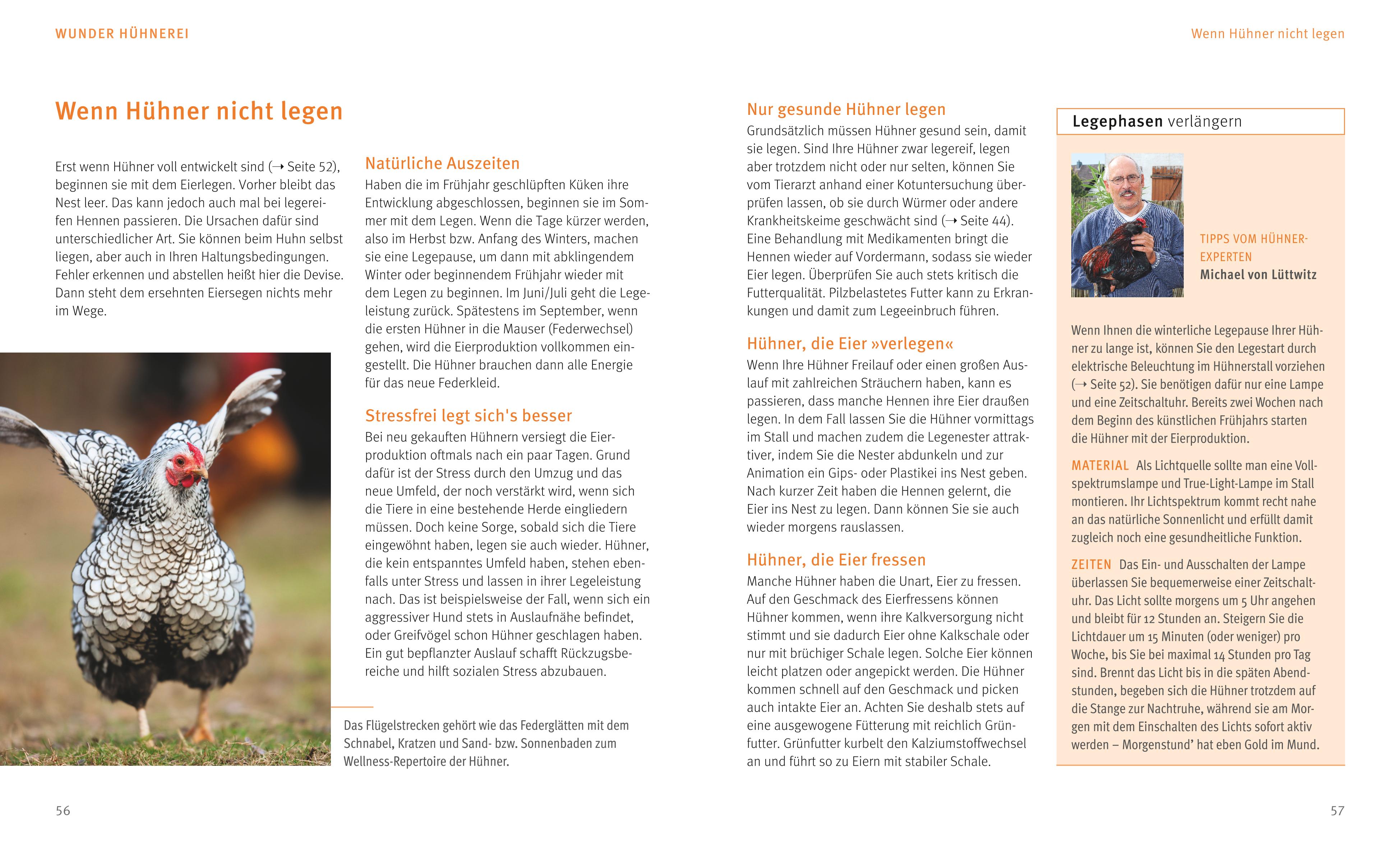 9783833848469_innenansicht_06 9783833848469_innenansicht_06.jpg