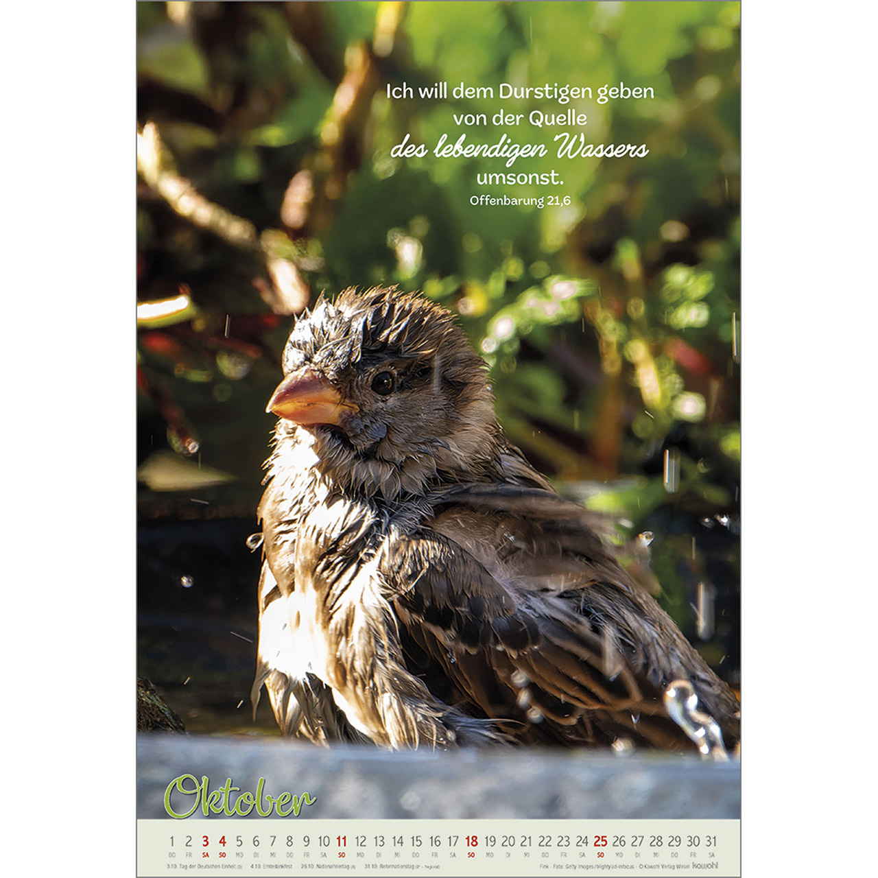 9783754804261_innenansicht_10 9783754804261_innenansicht_10.jpg