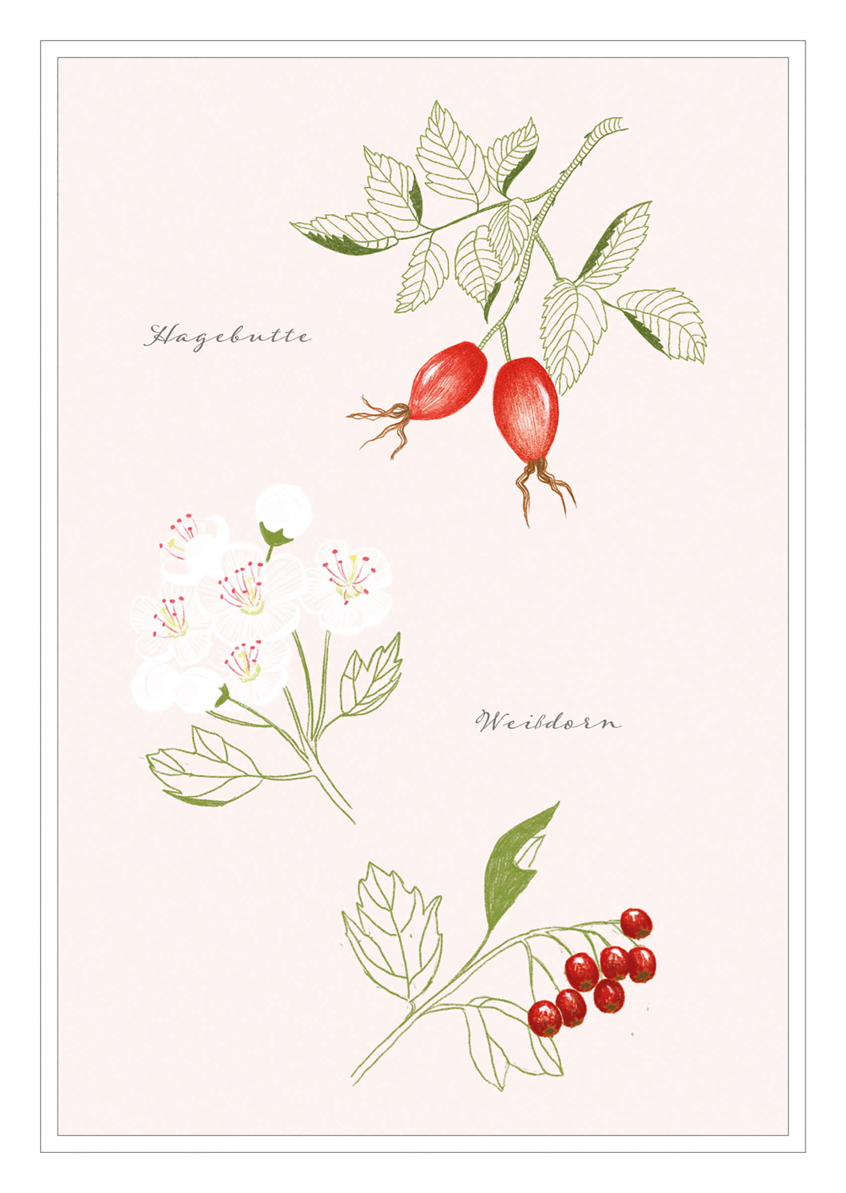 4250222903221_innenansicht_06 4250222903221_innenansicht_06.jpg