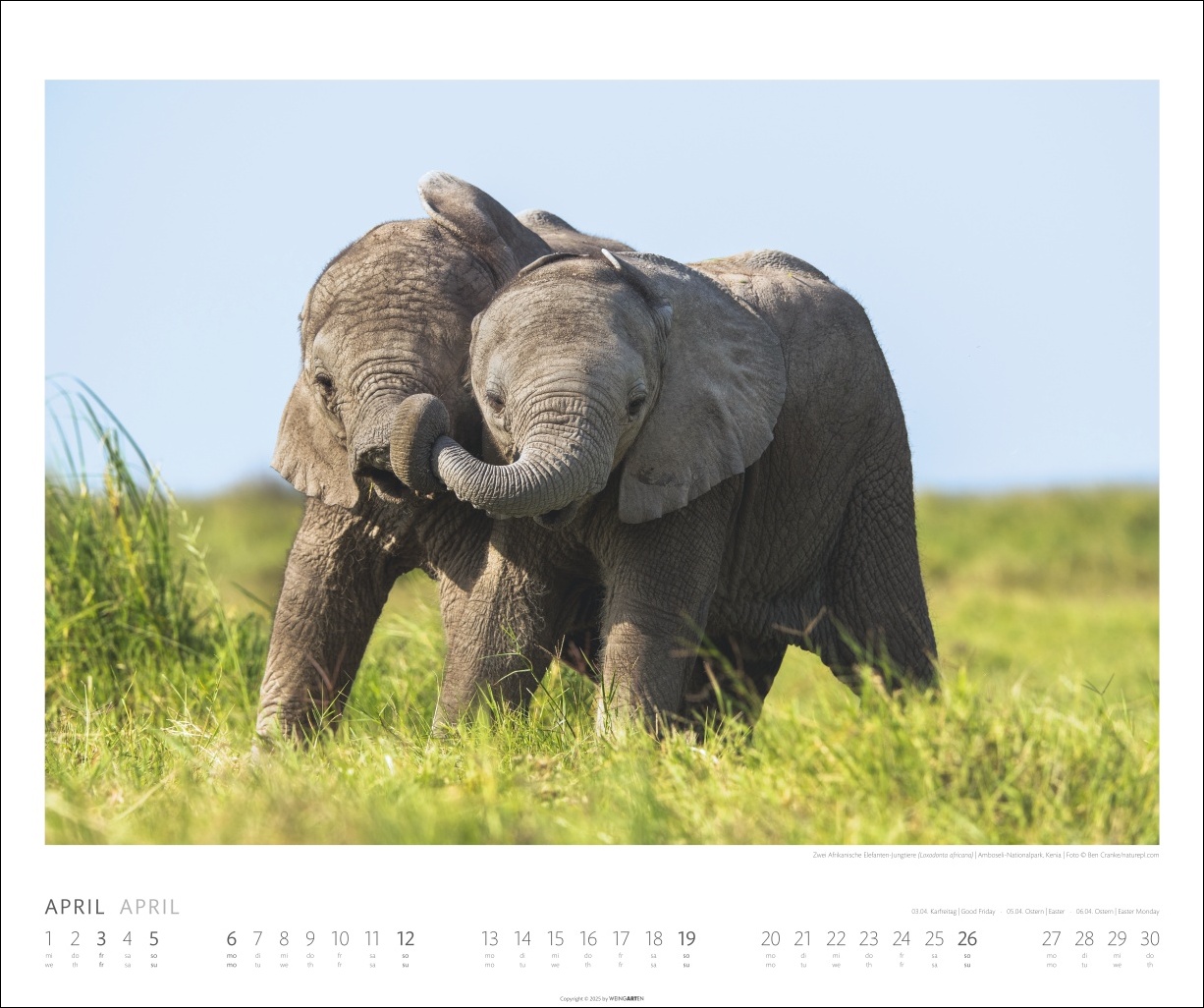 9783839901908_innenansicht_04 9783839901908_innenansicht_04.jpg