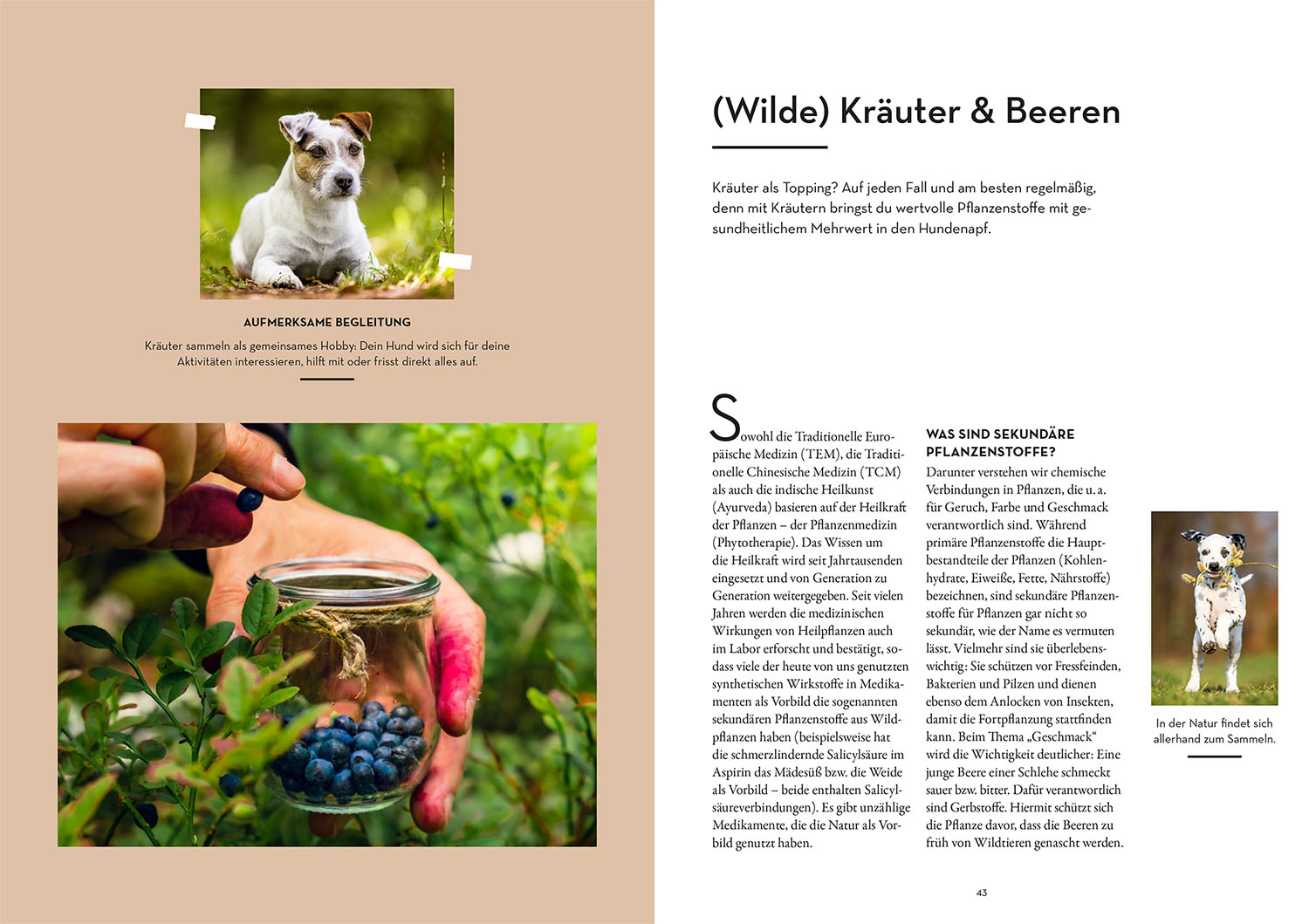 9783440179192_innenansicht_01 9783440179192_innenansicht_01.jpg