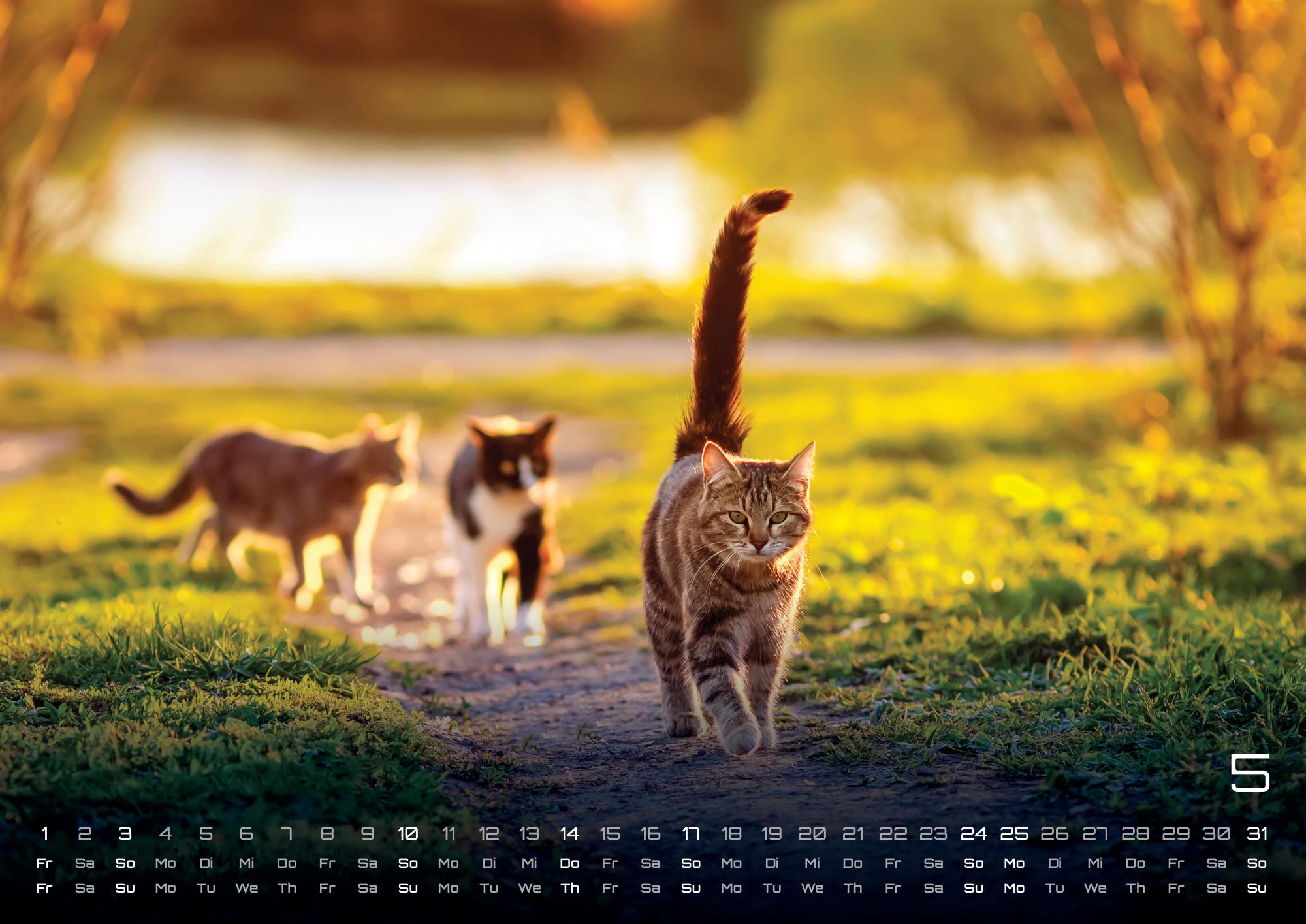 9783986735463_innenansicht_05 9783986735463_innenansicht_05.jpg