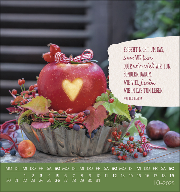 9783731880264_innenansicht_10 9783731880264_innenansicht_10.jpg