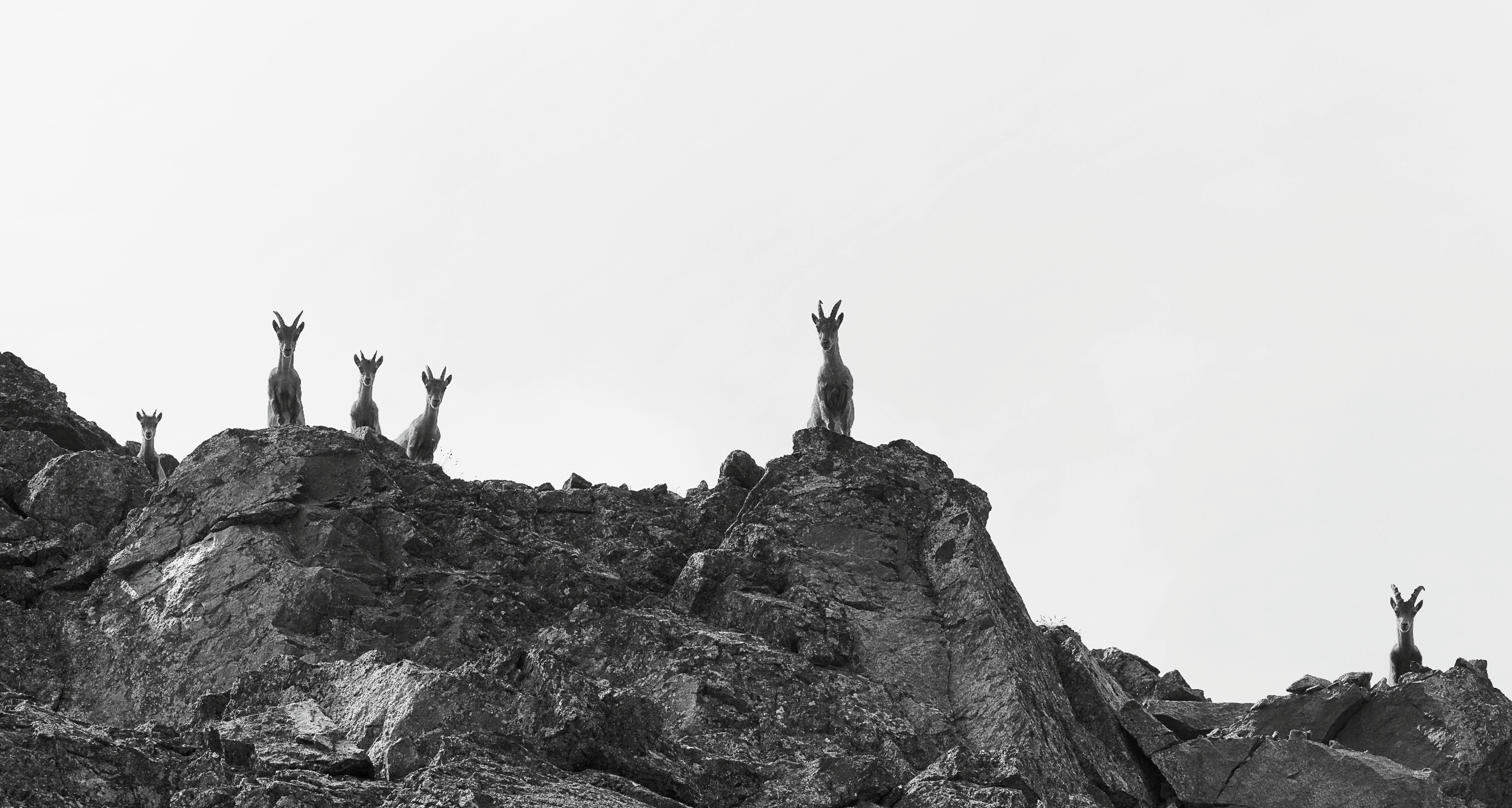 9783791389776_innenansicht_09 9783791389776_innenansicht_09.jpg